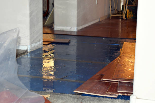 Professional Flood Cleanup technician working in Plymouth, MA